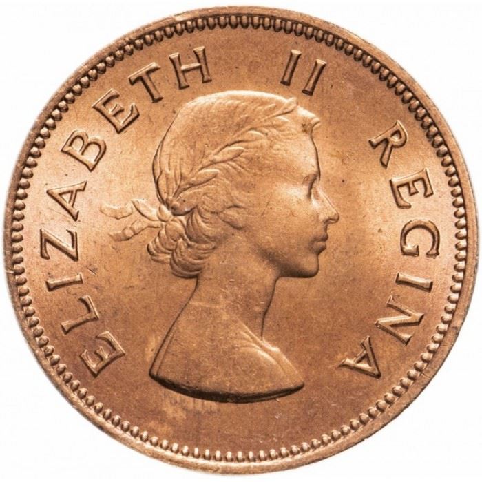 South Africa 1/2 Penny Coin | Elizabeth II 1st portrait | KM45 | 1953 - 1960