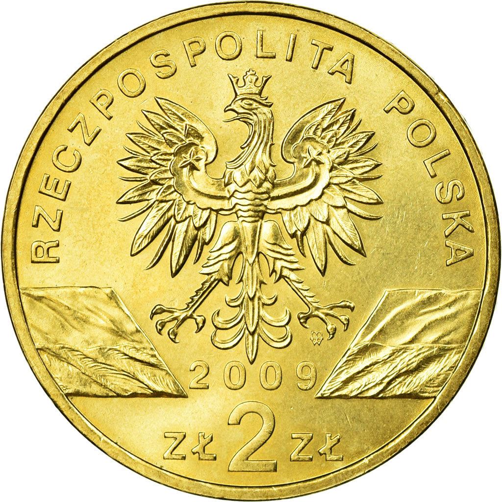 Poland | 2 Zlotys Coin | Jaszczurka zielona | Y:678 | 2009