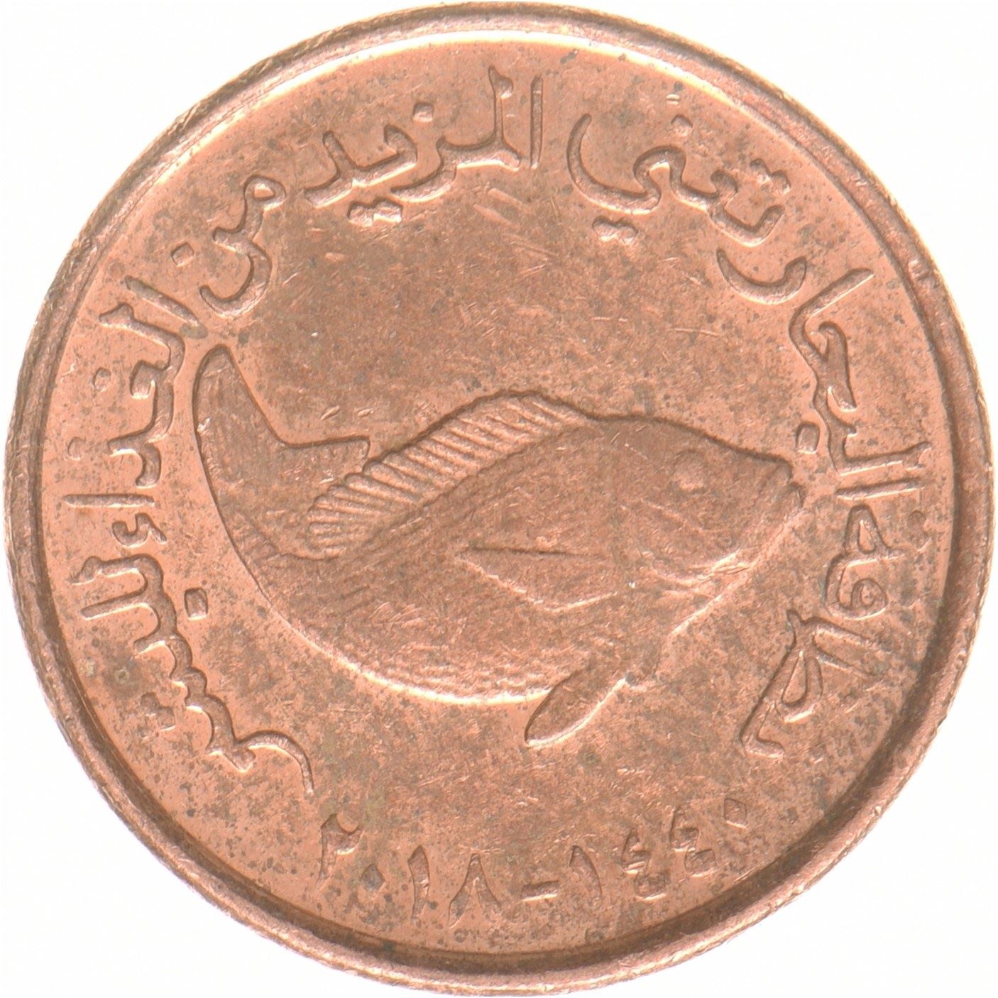 United Arab Emirates | 5 Fils Coin | FAO | Copper plated steel | UC:2 | 2018