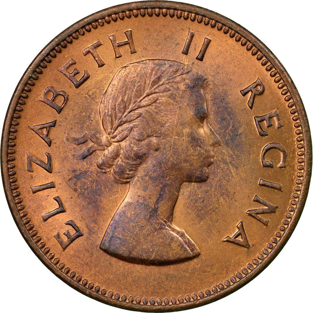 South Africa 1/2 Penny Coin | Elizabeth II 1st portrait | KM45 | 1953 - 1960