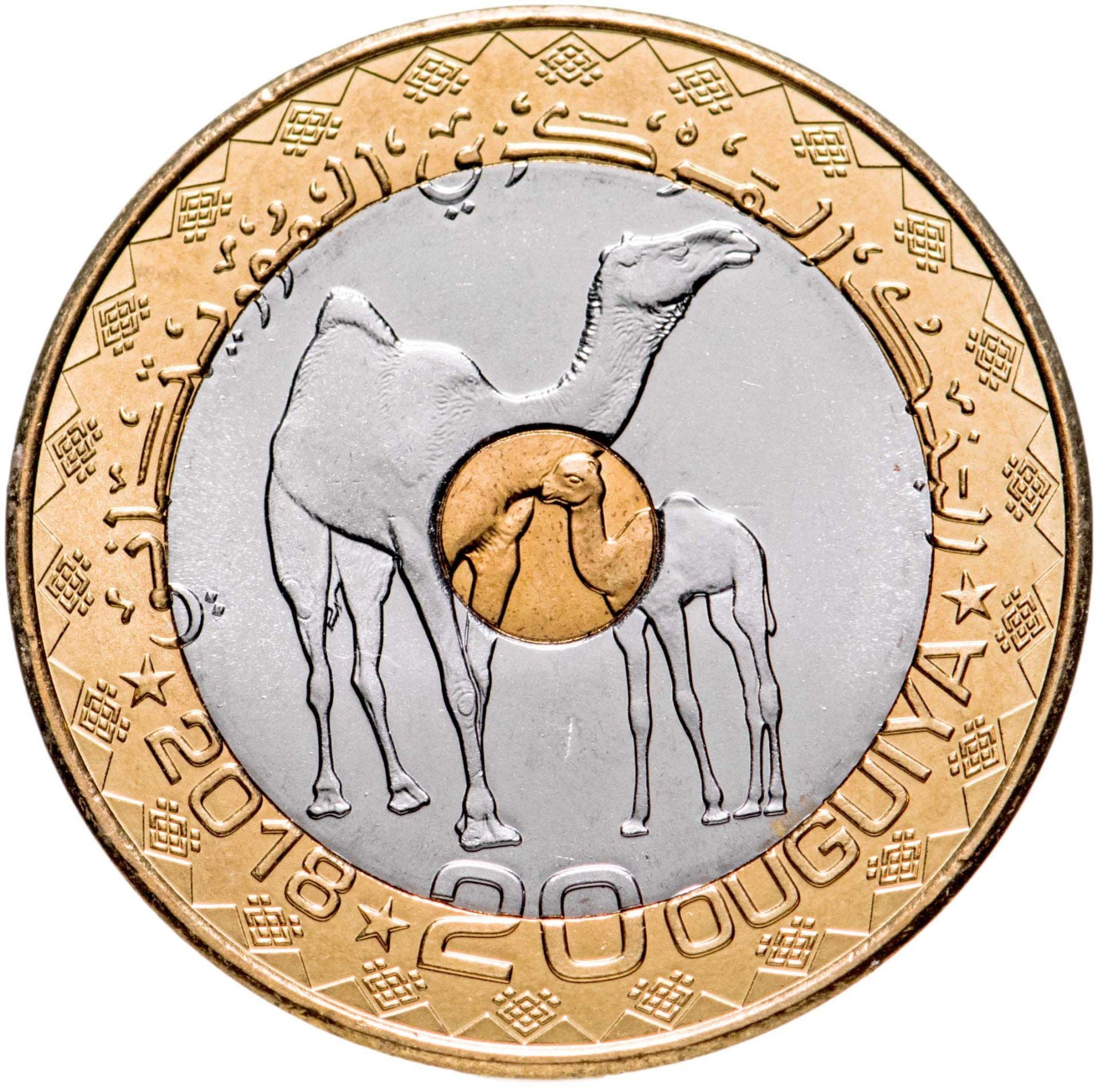Mauritania | 20 Ouguiya Coin | Dromedaries | Km:15 | 2017 - 2018