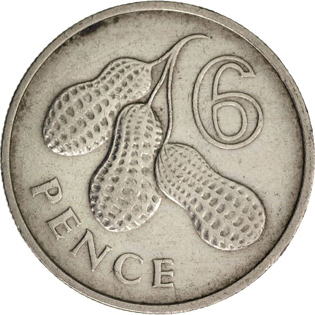 The Gambia | 6 Pence Coin | Peanuts | Km:3 | 1966