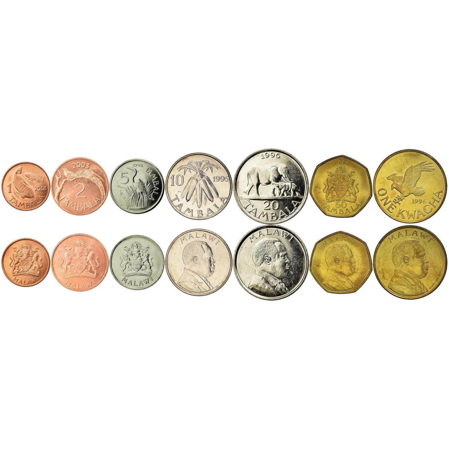 Malawian 7 Coin Set 1 2 5 10 20 50 Tambala 1 Kwacha | Bakili Muluzi | Elephant | Pin-Tailed Whydah | Purple Heron | African Fish Eagle | Tilapia | Corn | Malawi | 1995 - 2004