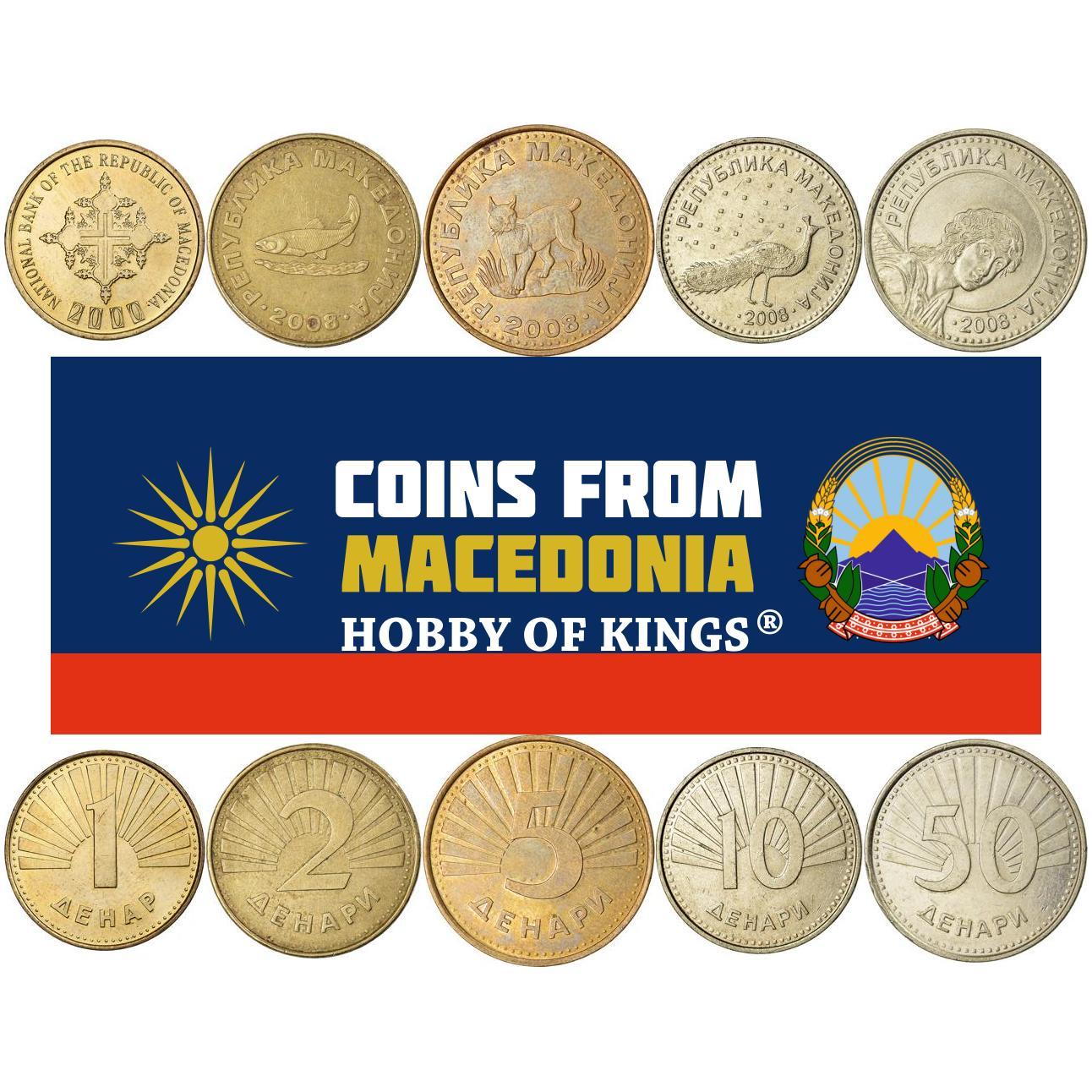 Macedonia Północna | Zestaw 5 monet | 1 Denar 2 5 10 50 Denarów | Pstrąg z Ohridu | Ryś bałkański | Archanioł Gabriel | 1993 - 2017