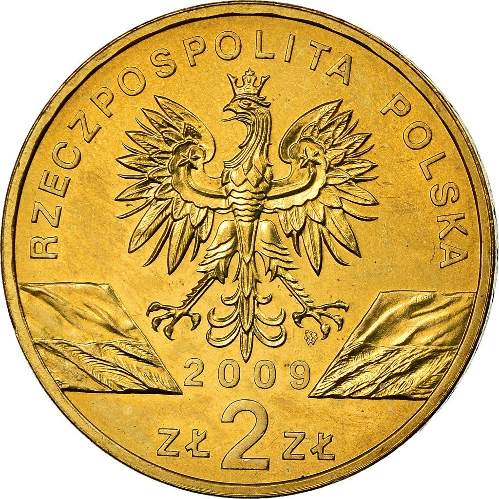 Poland | 2 Zlotys Coin | Jaszczurka zielona | Y:678 | 2009