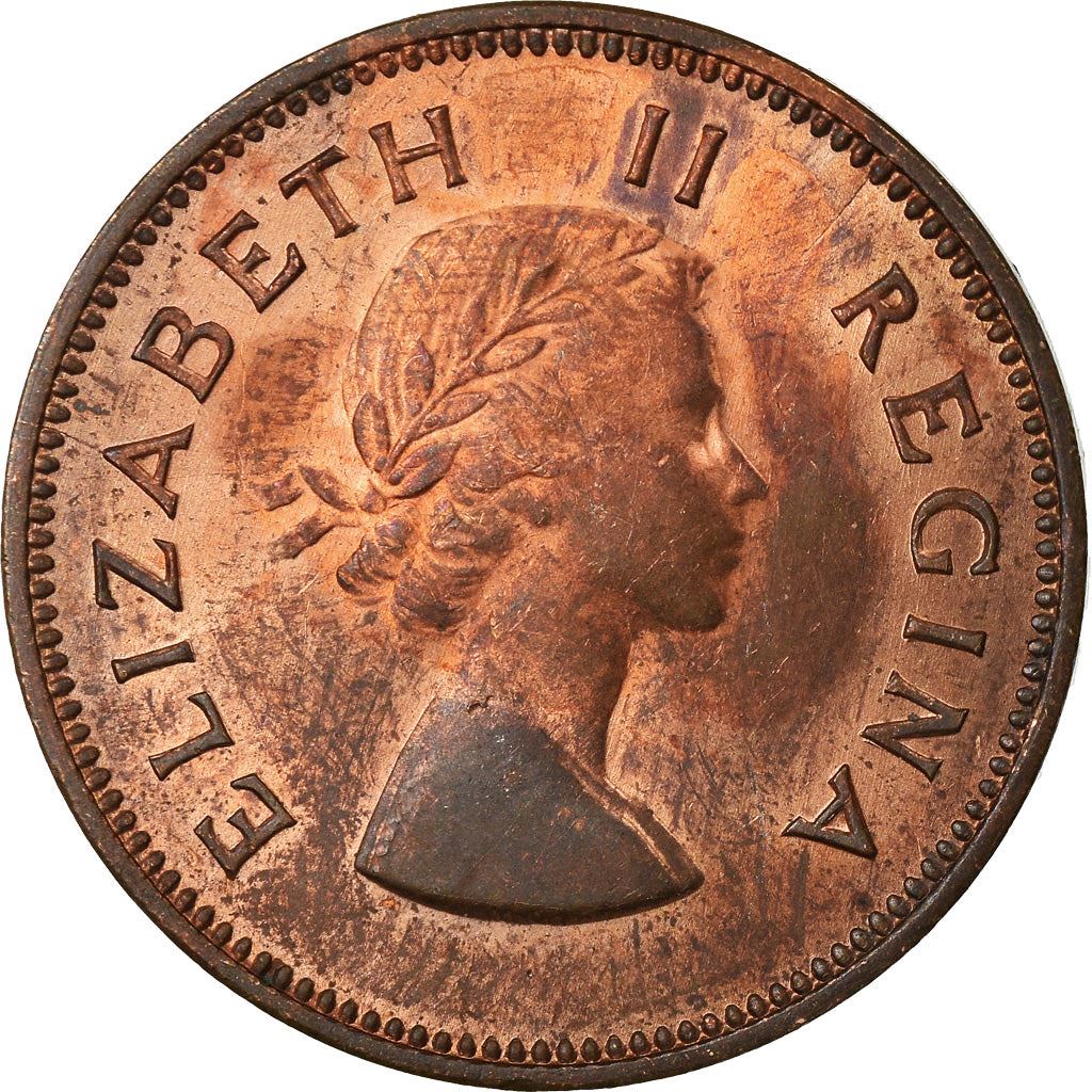 South Africa 1/2 Penny Coin | Elizabeth II 1st portrait | KM45 | 1953 - 1960
